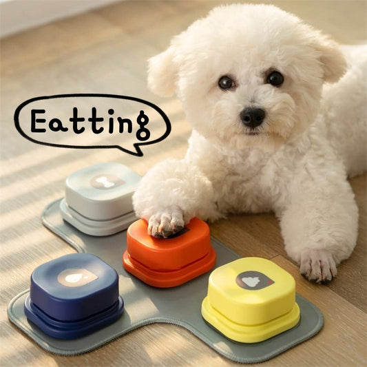 White Bichon dog pressing colorful pet talking button toy on mat to signal eating and feeding time