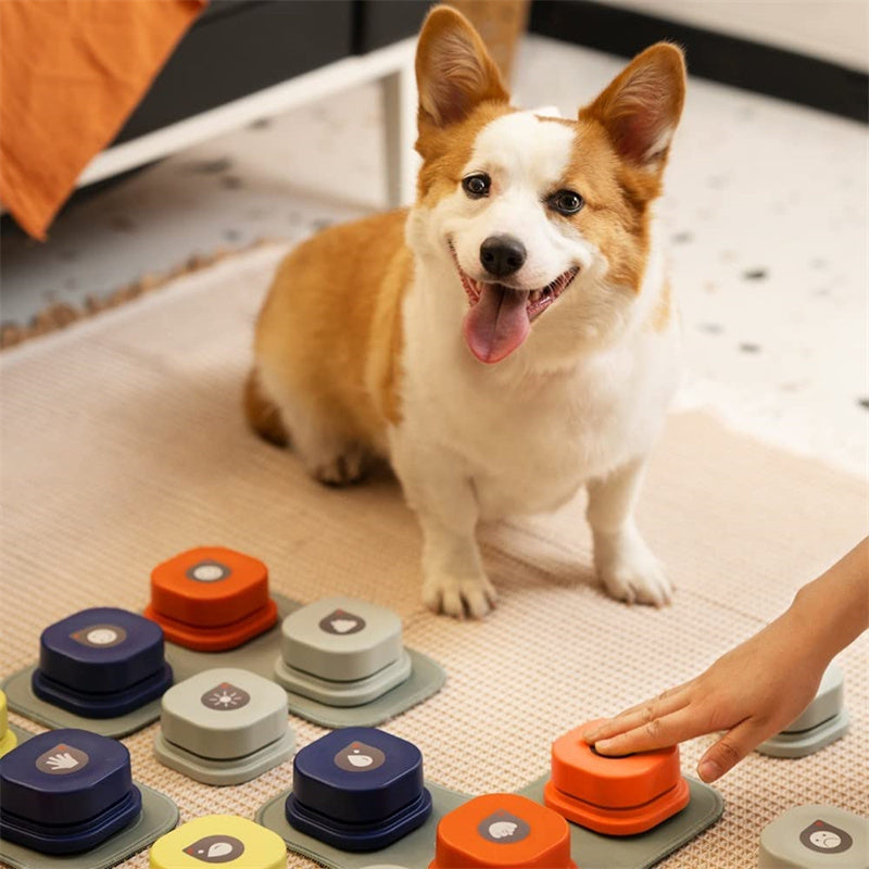 Orange Poppy pet talking button toy set on soft beige pet mat with happy corgi and hand pressing button for training