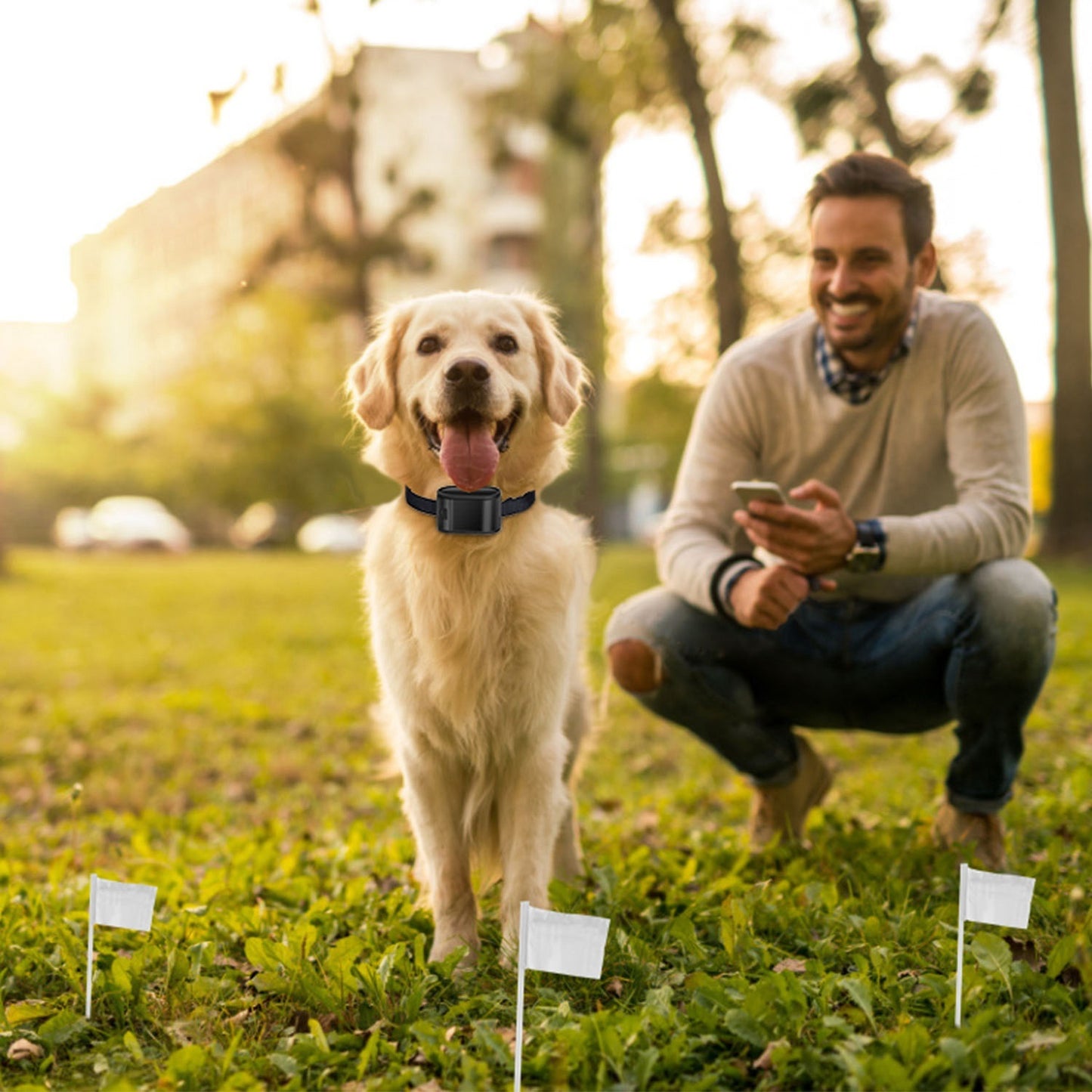 Golden Retriever using adjustable pet boundary collar system with owner in a park setting