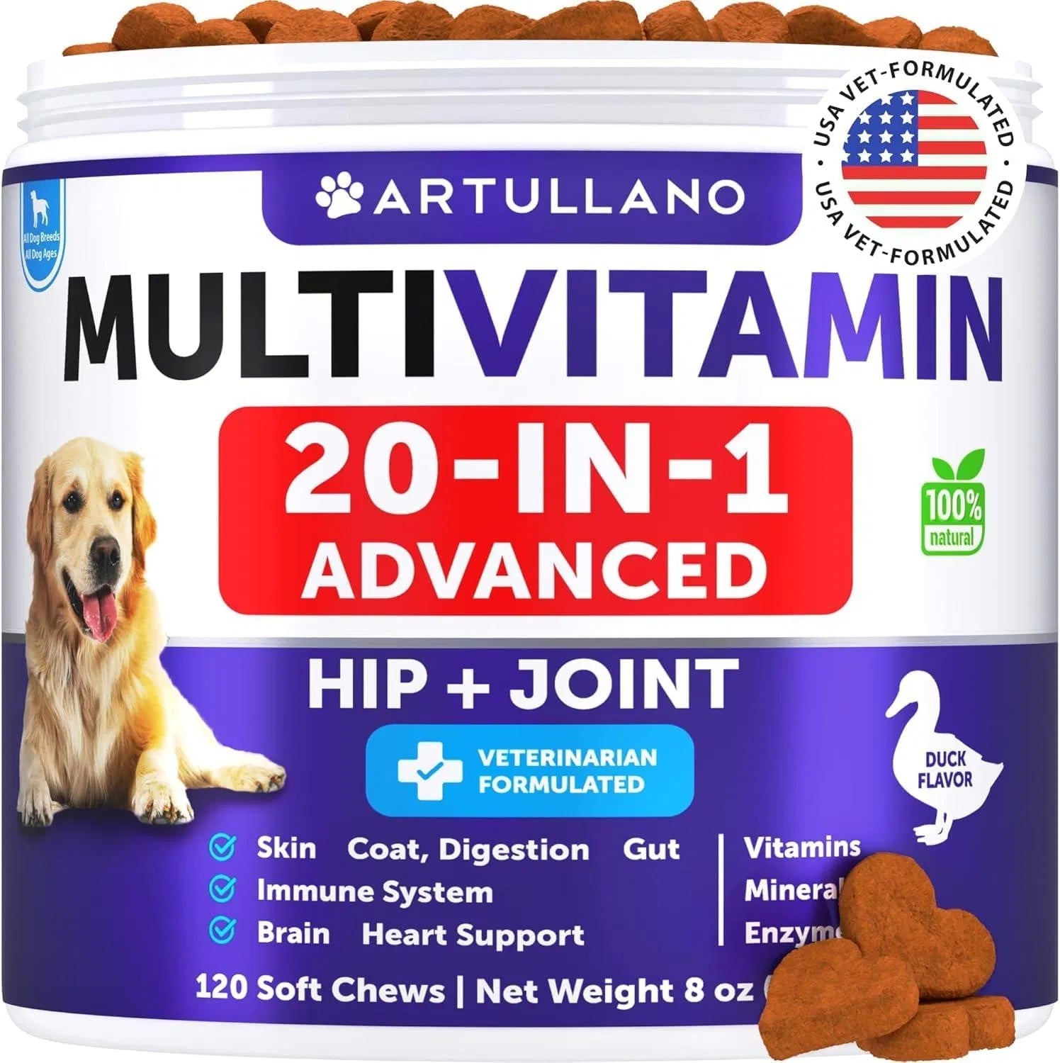 Artullano multivitamin jar with golden retriever and soft chews 20 in 1 dog vitamins for skin and coat health