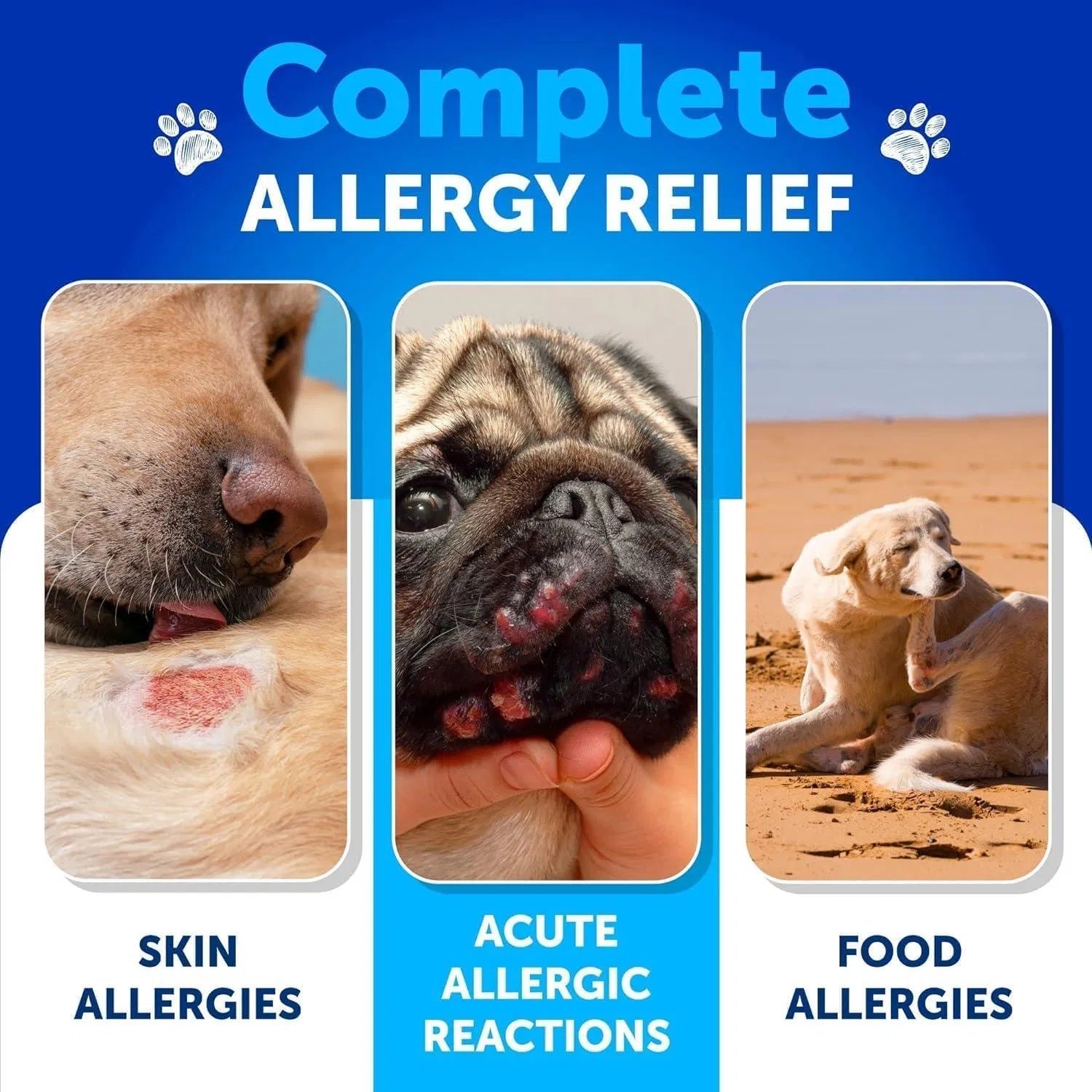 Orange Poppy blanket image showing complete allergy relief for skin acute and food allergies dog allergy relief chews