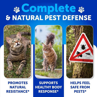 Orange Poppy cat bed banner promoting natural flea and tick prevention for cats with outdoor images