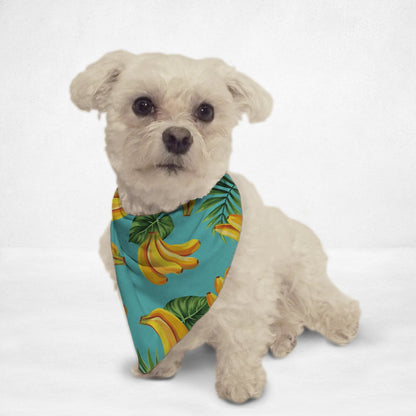 Small white dog wearing a blue banana print pet bandana with green leaves by Orange Poppy