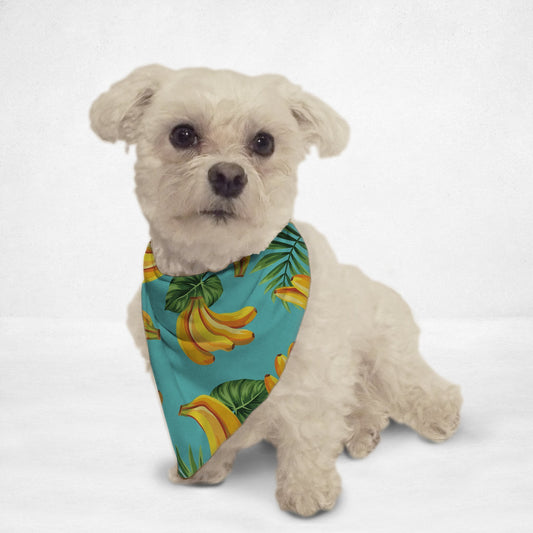 Small white dog wearing a blue banana print pet bandana with green leaves by Orange Poppy