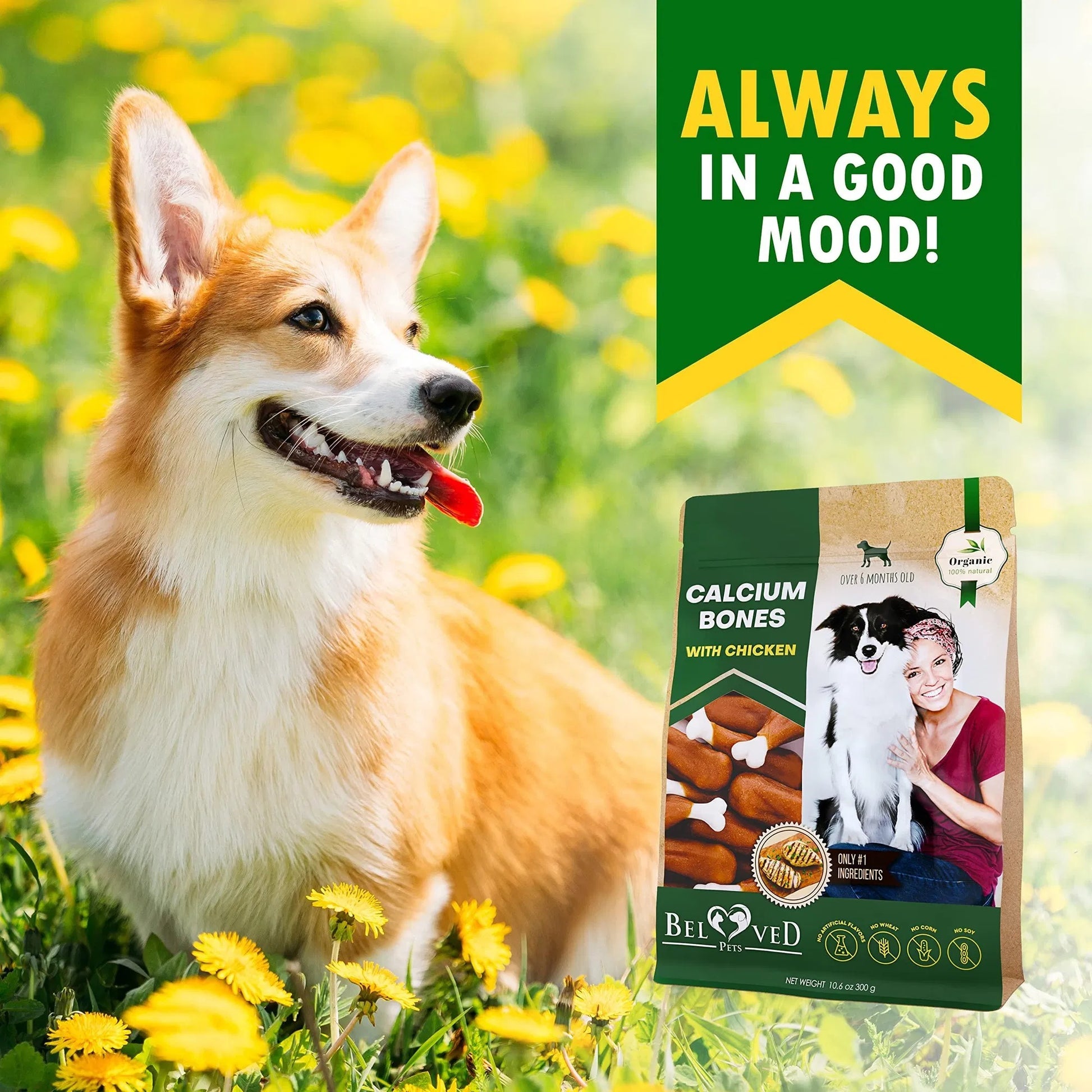 Healthy dog training treats for small and large dogs in a vibrant outdoor setting with a happy corgi