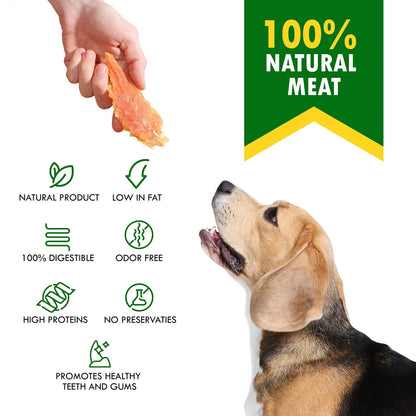 Beagle eagerly receiving an all natural chicken jerky dog treat with health benefits highlighted
