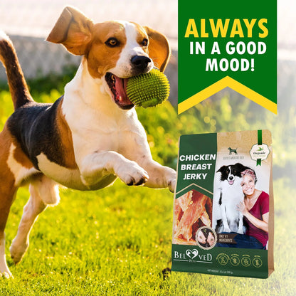Happy dog fetching a toy next to Beloved Pet Chicken Breast Jerky packaging for all natural chicken jerky dog treats