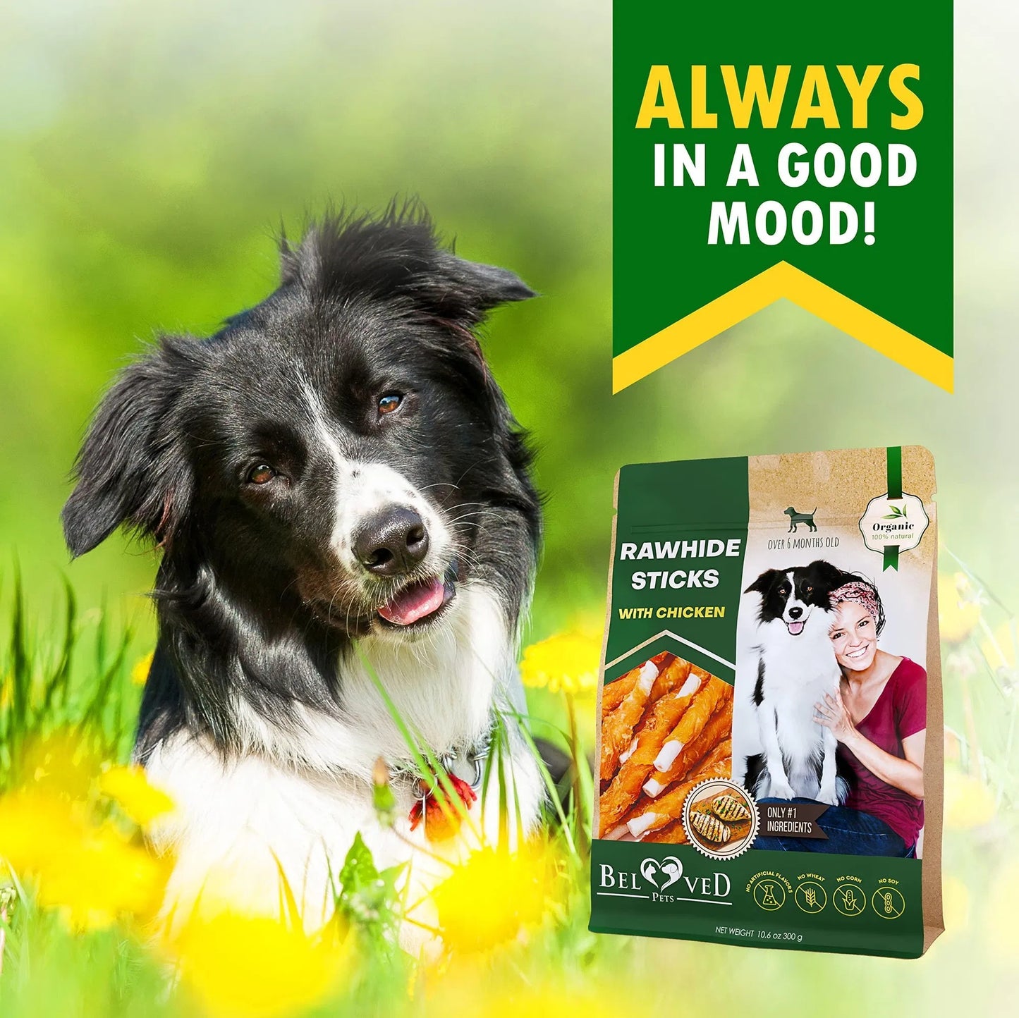 Border Collie in a grassy flower field next to Orange Poppy package of chicken wrapped dog sticks organic rawhide treats
