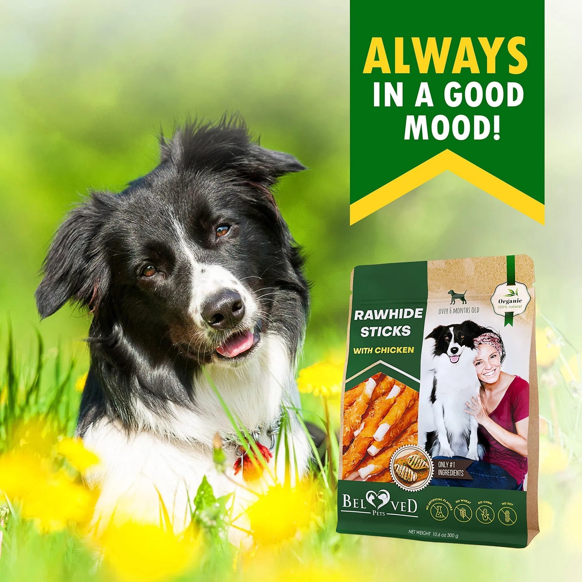 Border Collie in a grassy flower field next to Orange Poppy package of chicken wrapped dog sticks organic rawhide treats