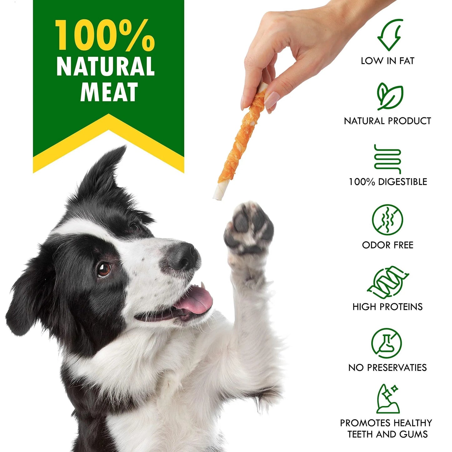 Orange Poppy chicken wrapped dog sticks organic shown with border collie reaching for treat and ingredient icons