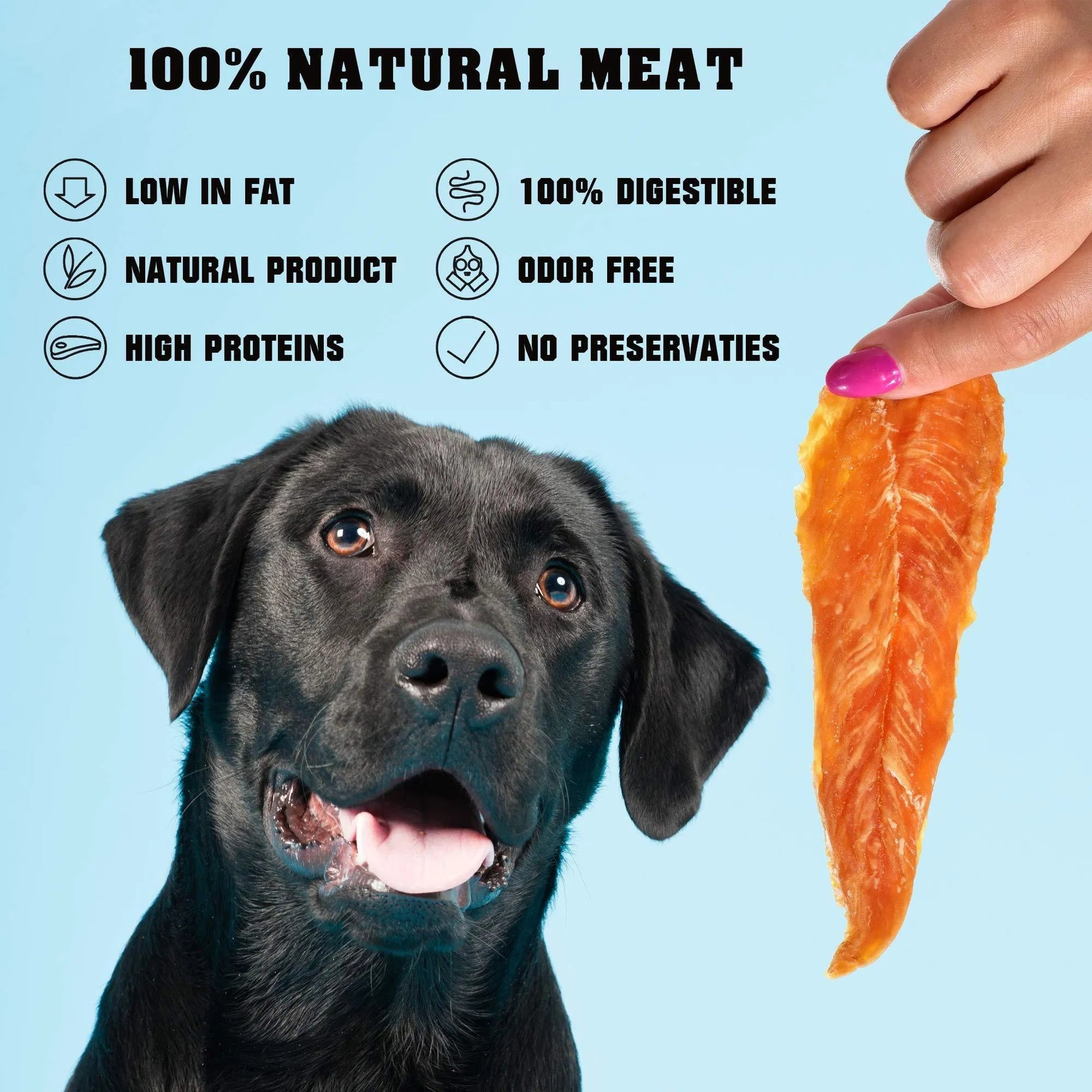 Orange Poppy organic high protein dog chews dried meat strip held by hand with eager black Labrador