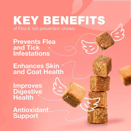 Flea Treatment For Cats Daily Oral Cat Flea And Tick Treatment Chews Chewable Kitten Flea Treatment Soft Treats For All Breeds & Ages Natural Chicken Flavor Flea And Tick Supplement For Cats