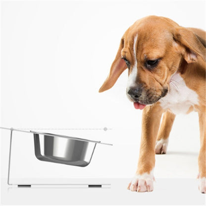 Pet Haven Delights cat and dog water bowl with stand for easy hydration and feeding