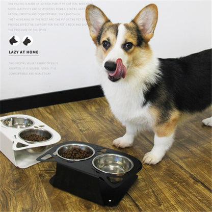 Cat and dog water bowl with stand in modern design, perfect for pet feeding and hydration