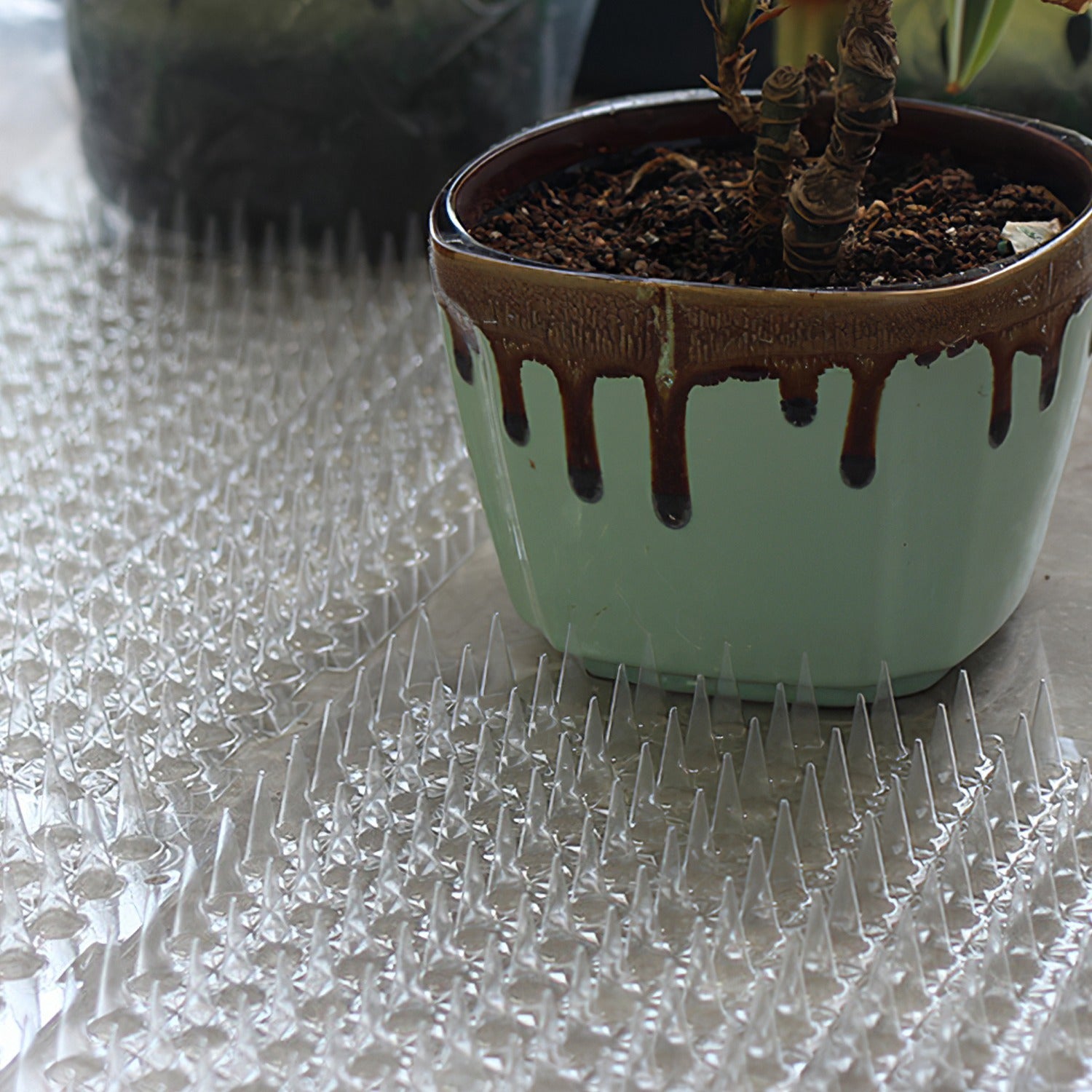 Cat deterrent mats for furniture with spike design to protect surfaces from pets