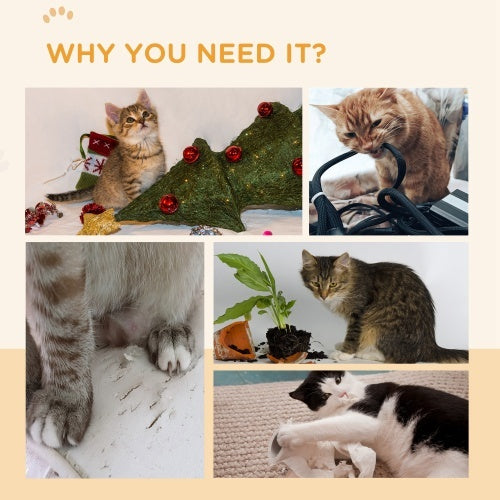 Various cats interacting with toys, including a cat scratching board replacement to prevent furniture damage