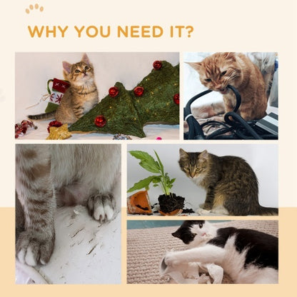 Various cats interacting with toys, including a cat scratching board replacement to prevent furniture damage