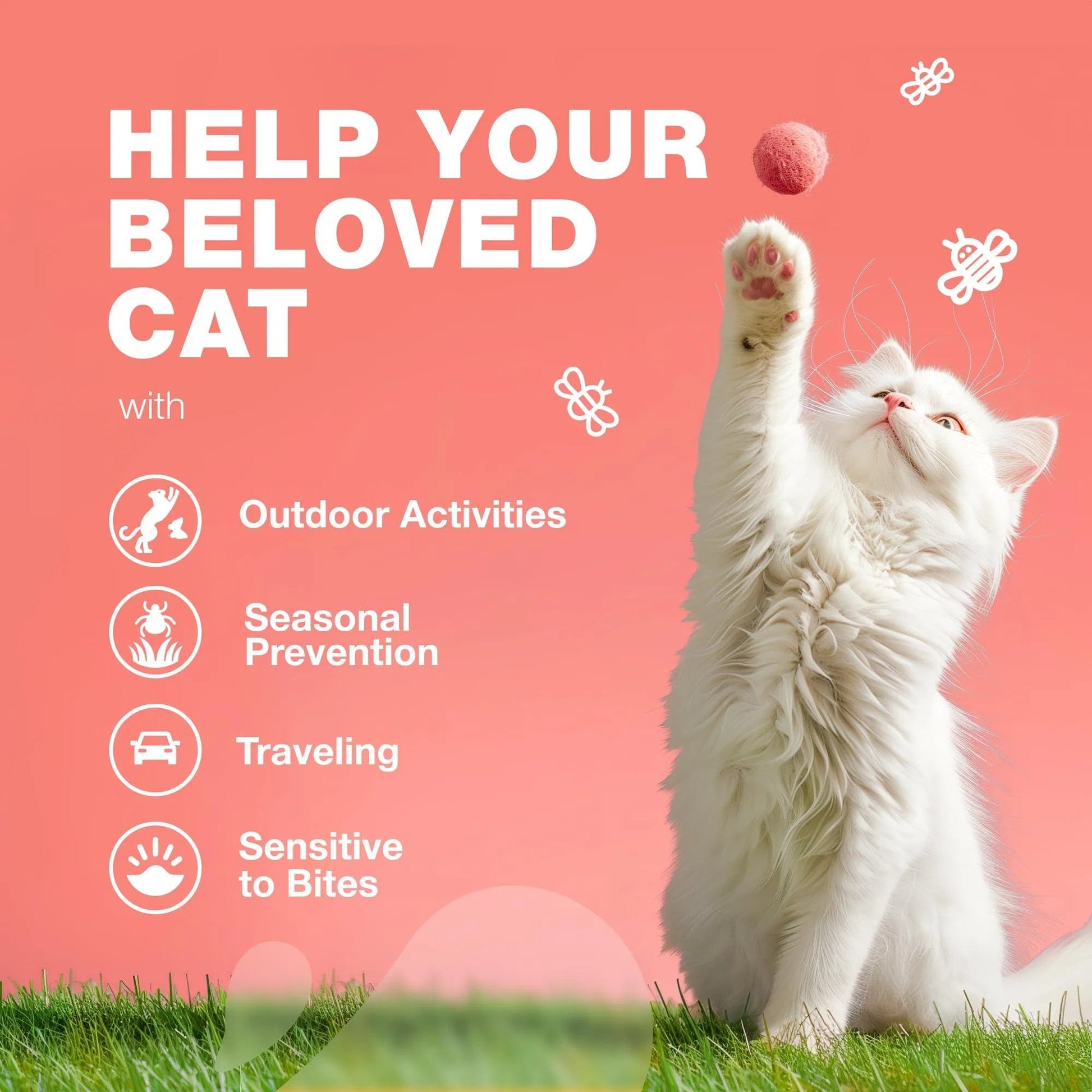 Help your beloved cat with outdoor activities and seasonal prevention using flea treatment chews for cats