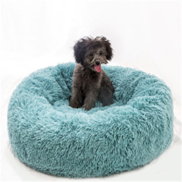 Orange Poppy round fluffy cat bed in teal plush with raised rim and small dog for size reference