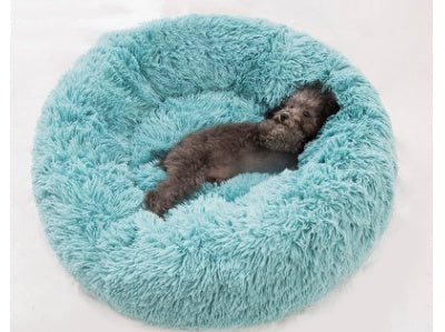 Orange Poppy round fluffy cat bed in teal aqua with shaggy faux fur and small gray puppy lounging inside