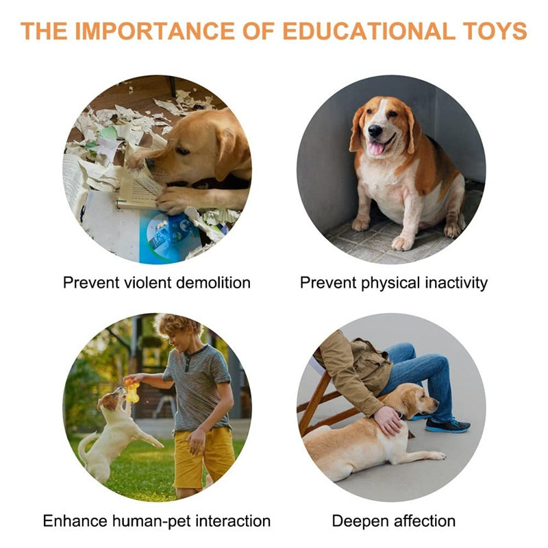 Orange Poppy pet talking button toy infographic showing dogs playing to prevent destruction inactivity and deepen bonding