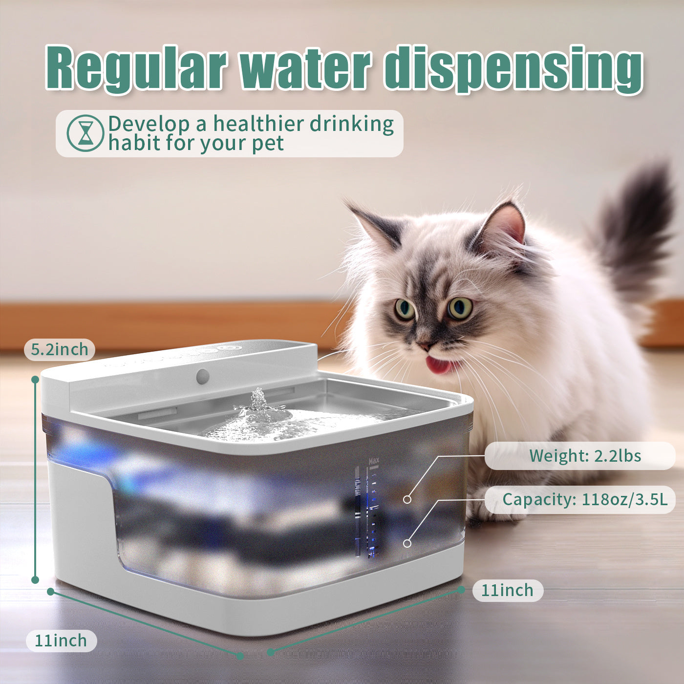 Pet Haven Delights dog and cat water dispenser with regular water flow for healthy hydration