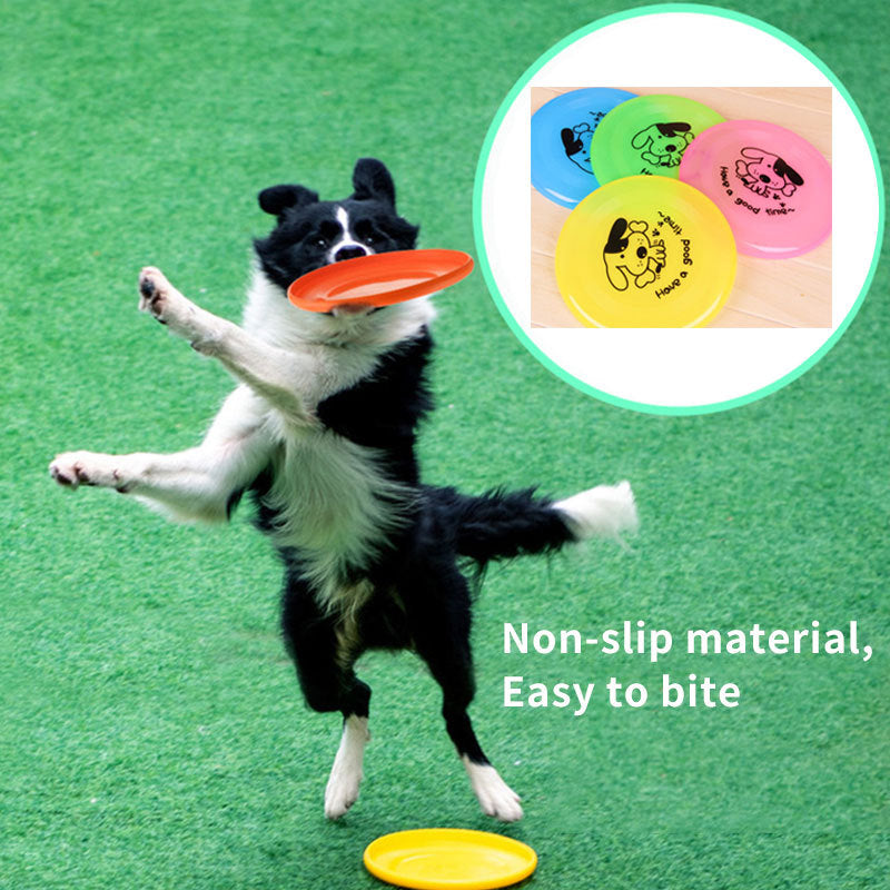 Durable silicone dog frisbee in bright colors with a dog playing fetch outdoors
