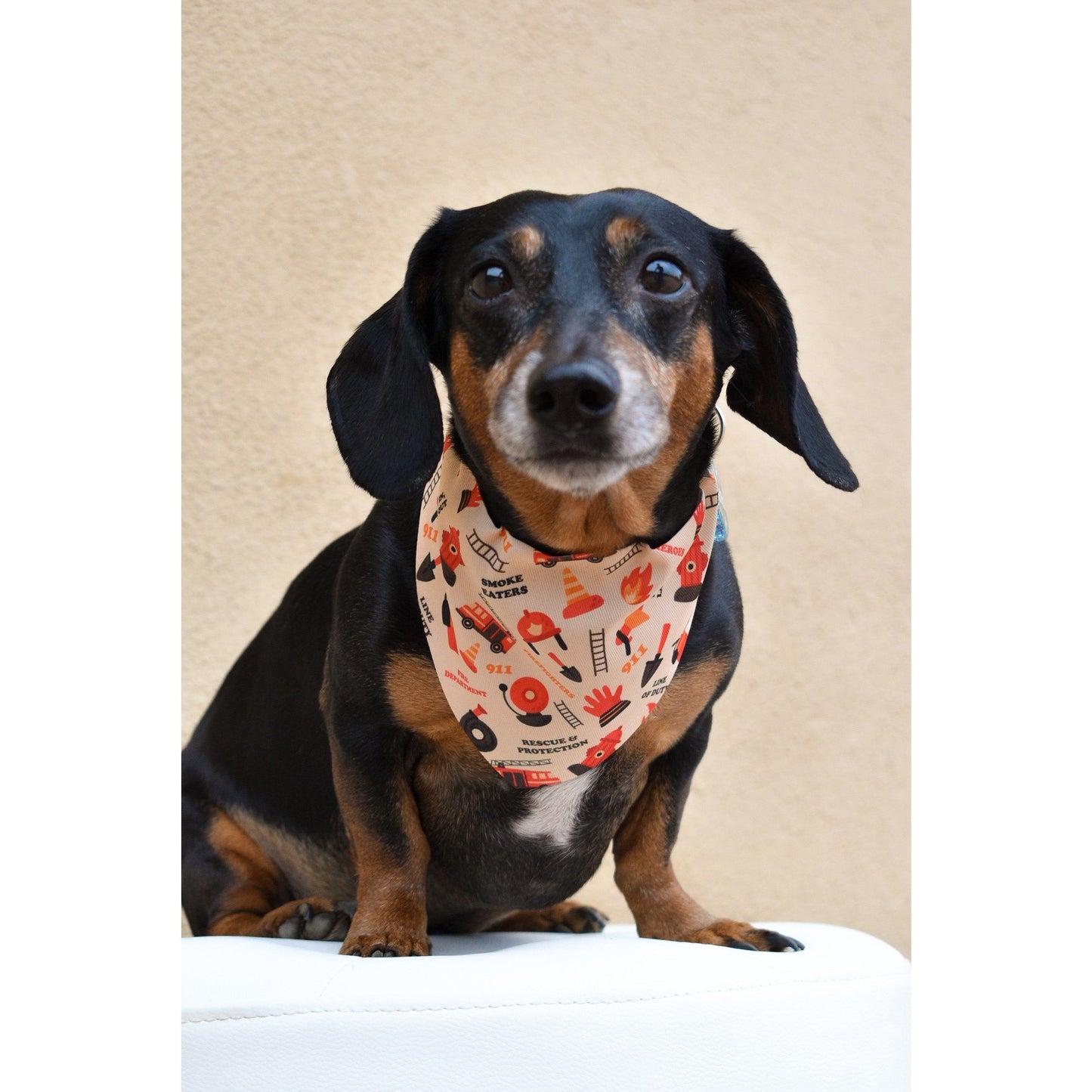 Black and tan dachshund wearing a firefighter dog bandana with fire safety icons from Scarlet Gaia