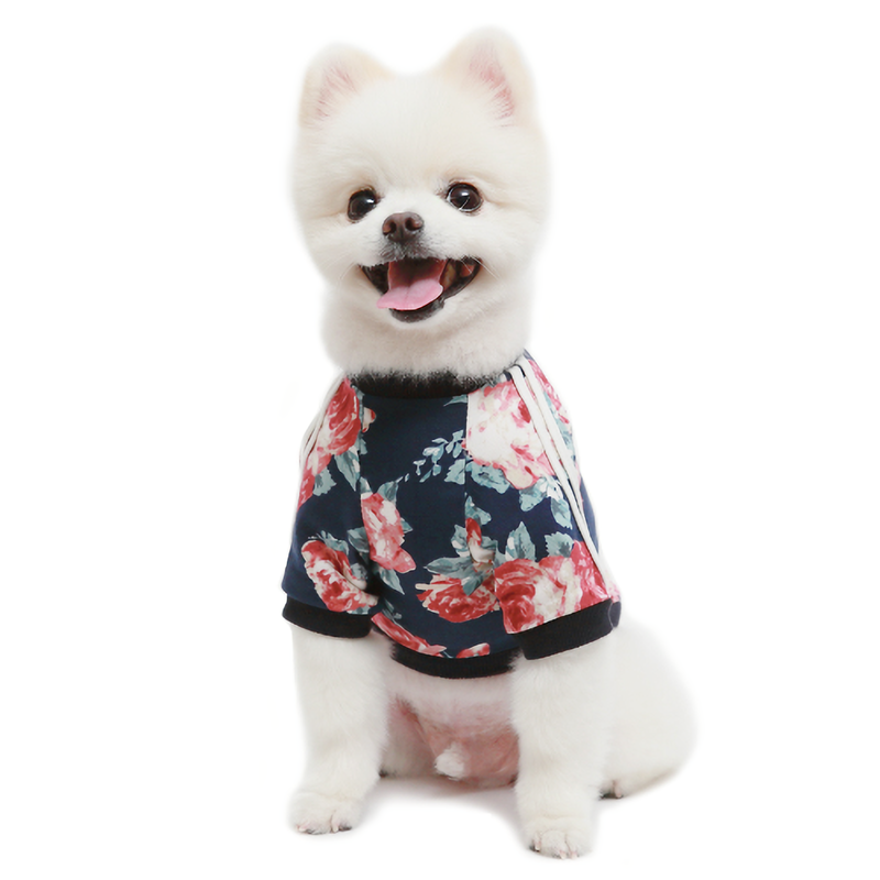Small white dog wearing a colorful floral dog shirt with pink and red flowers on navy background