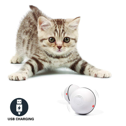 Funny motion activated cat toy with USB charging, ideal for entertaining playful kittens