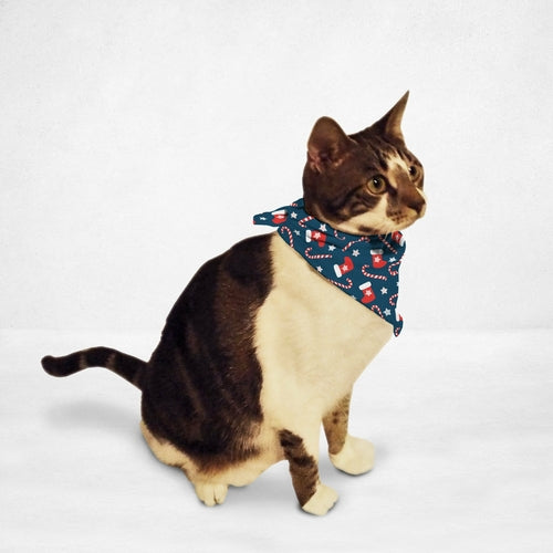 Cat wearing an Orange Poppy holiday pet bandana with candy cane and stocking patterns
