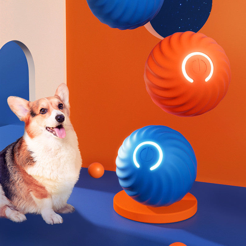 Colorful interactive dog ball toy on display with a happy corgi nearby for playful pets