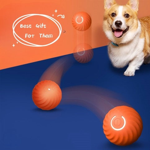 Interactive dog ball toy in orange, perfect for keeping dogs entertained and active