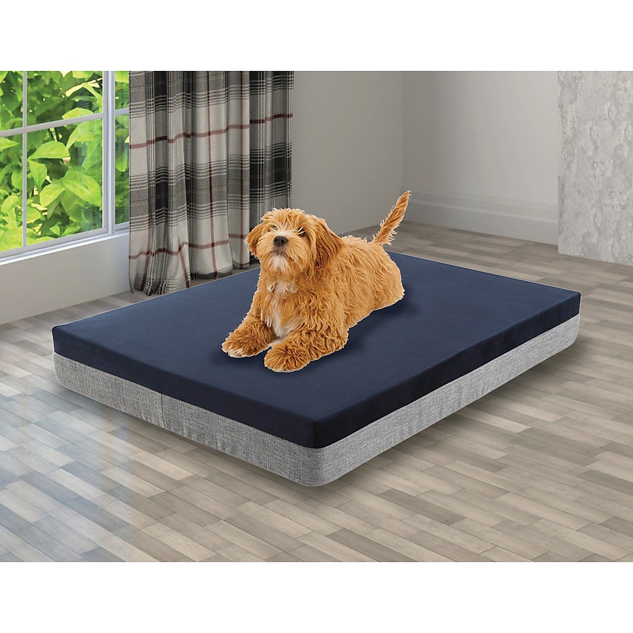 Magenta Danae large orthopedic dog bed in navy and gray with a small brown dog lying on top indoors