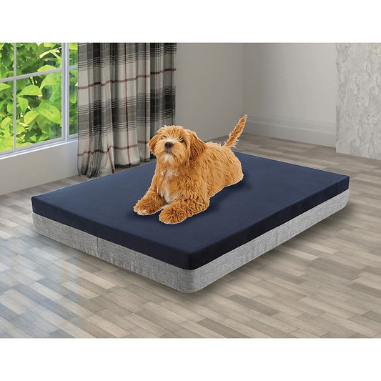 Magenta Danae large orthopedic dog bed in navy and gray with a small brown dog lying on top indoors