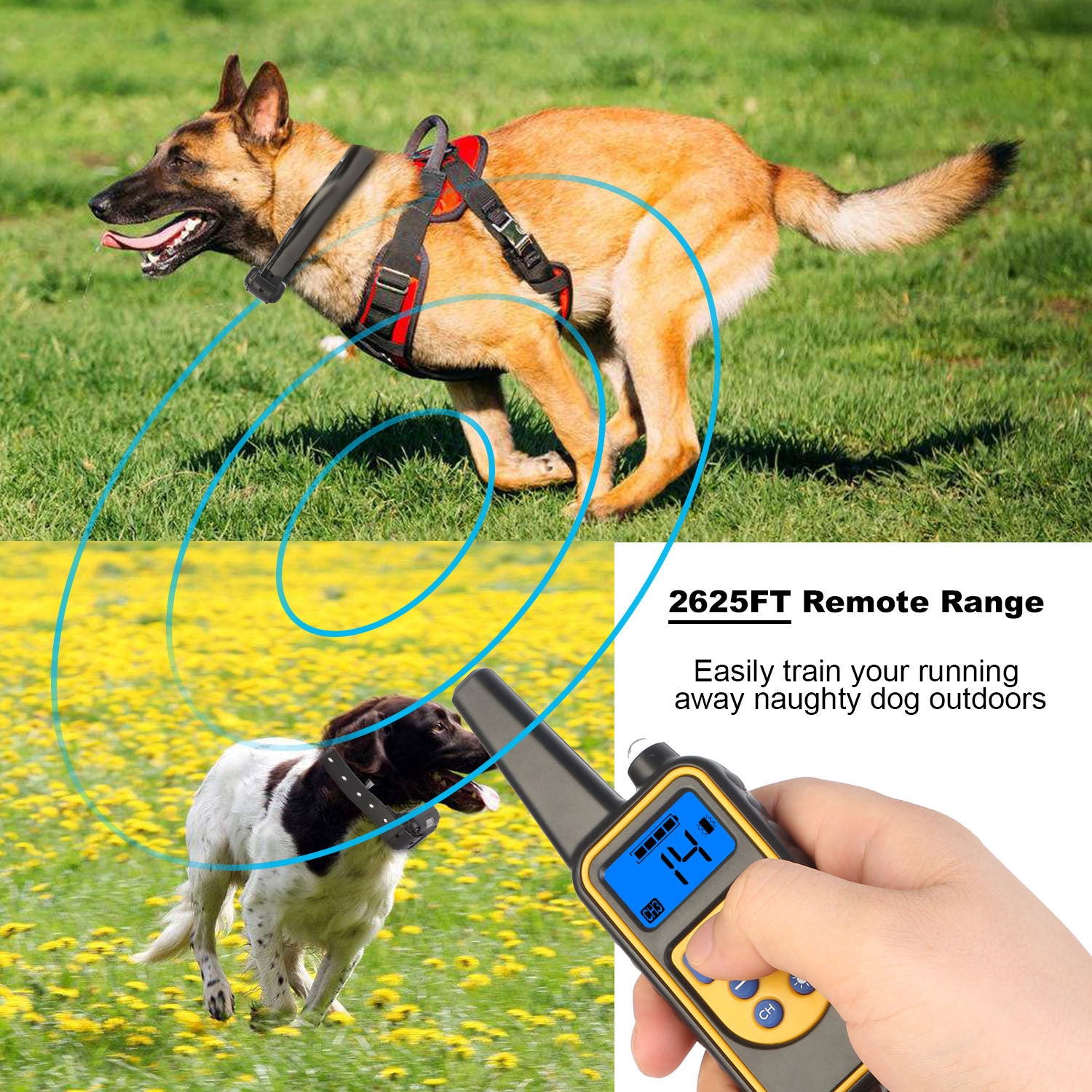 Long range dog collar 875 yards for training dogs outdoors with remote control and safety features