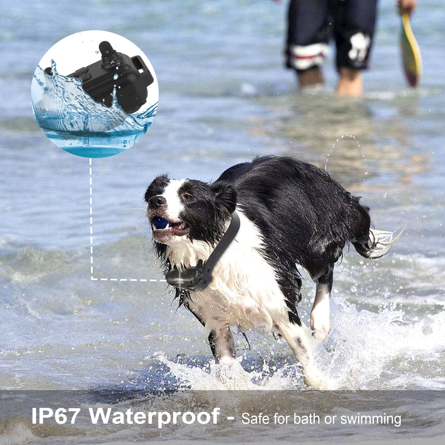 Active dog playing in water wearing a long range dog collar 875 yards, designed for waterproof use