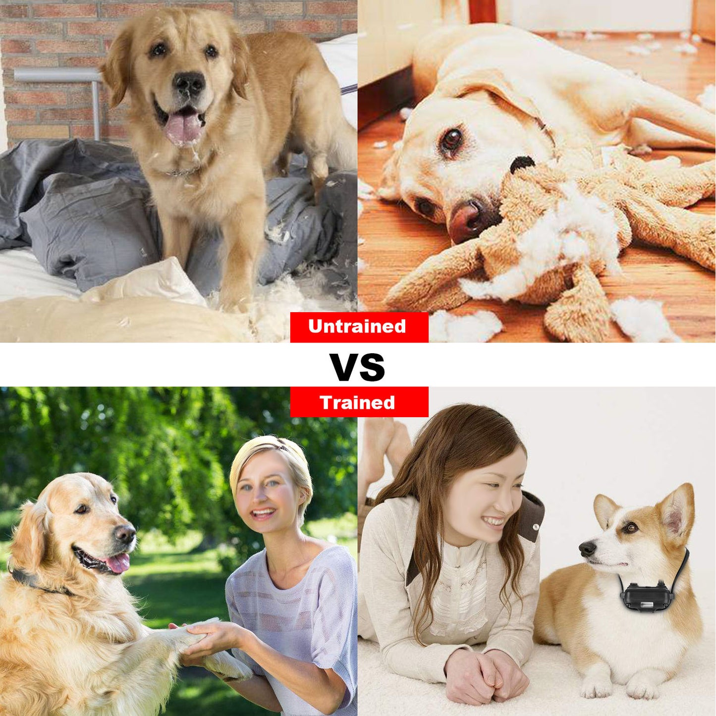 Comparison of untrained and trained dogs using a long range dog collar 875 yards for effective training