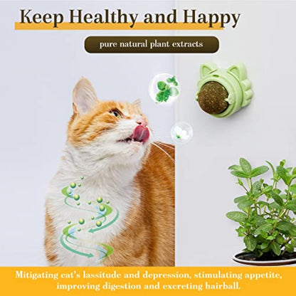 Orange and white cat sniffing wall mounted healthy cat teeth cleaning toy with catnip and fresh plant nearby