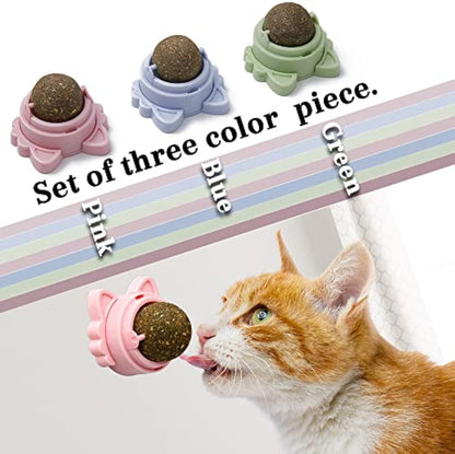 Orange Poppy set of three healthy cat teeth cleaning toy holders in pink blue and green with cat licking pink one