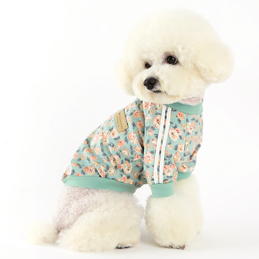 Small white dog wearing a floral mint dog track jacket by Emerald Alfie with white stripes