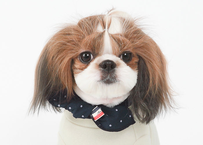 Small dog wearing a navy dog scarf with star pattern and flag detail by Emerald Alfie