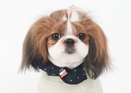 Small dog wearing a navy dog scarf with star pattern and flag detail by Emerald Alfie
