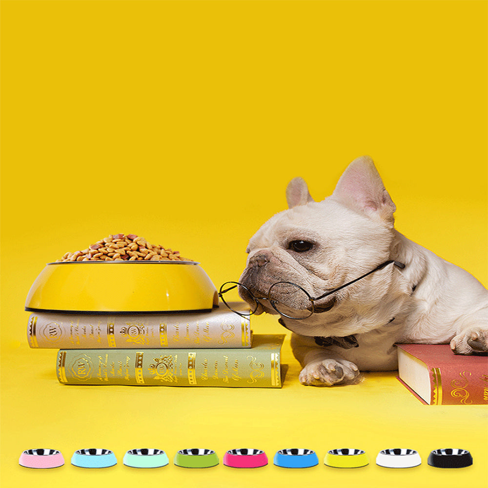 French bulldog resting by a yellow food bowl on books with colorful sample large stainless steel dog bowls