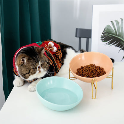 Orange Poppy cat in patterned sweater beside raised peach kibble bowl and blue water dish durable pet feeding supplies