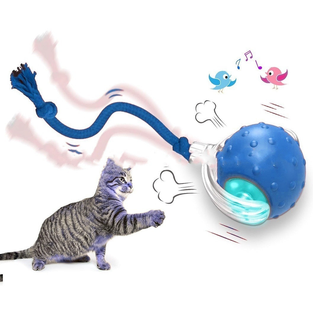 Orange Poppy interactive cat toy ball with rope tail textured LED rolling ball for active cats