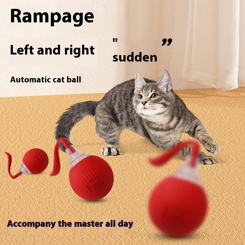 Orange Poppy interactive cat toy ball red automatic rolling ball with gray tabby cat on beige carpet