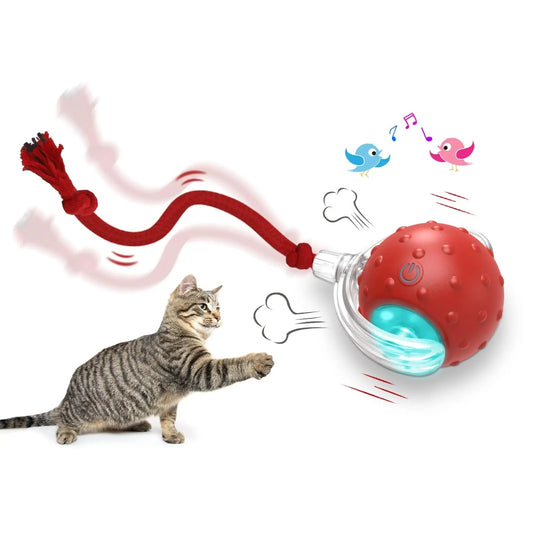 Orange Poppy red interactive cat toy ball with glowing LED tassel pull string and tabby cat playing