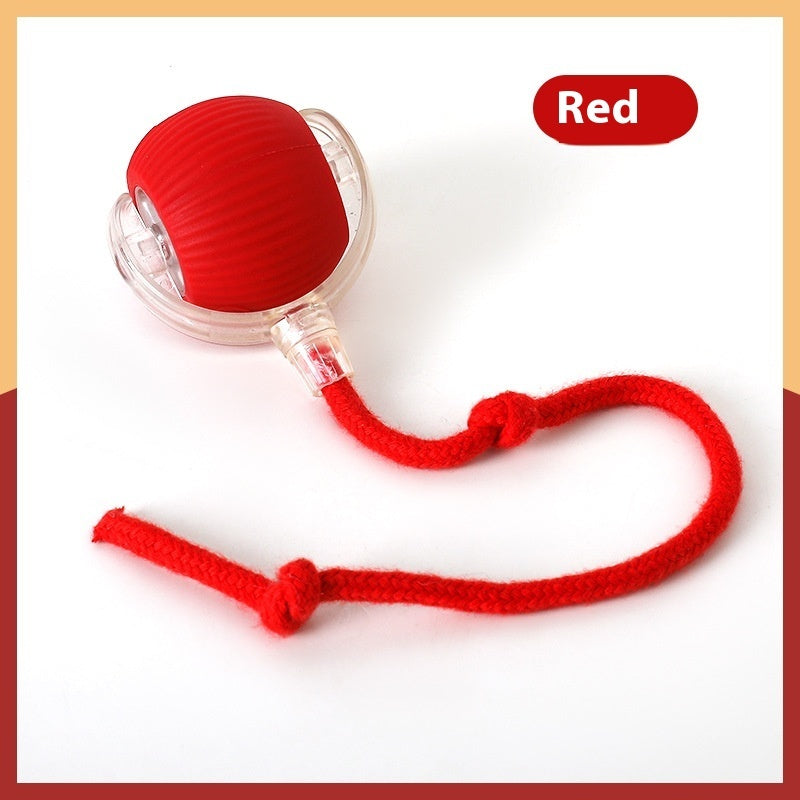 Orange Poppy red interactive cat toy ball with clear plastic casing and knotted red rope for playful cats