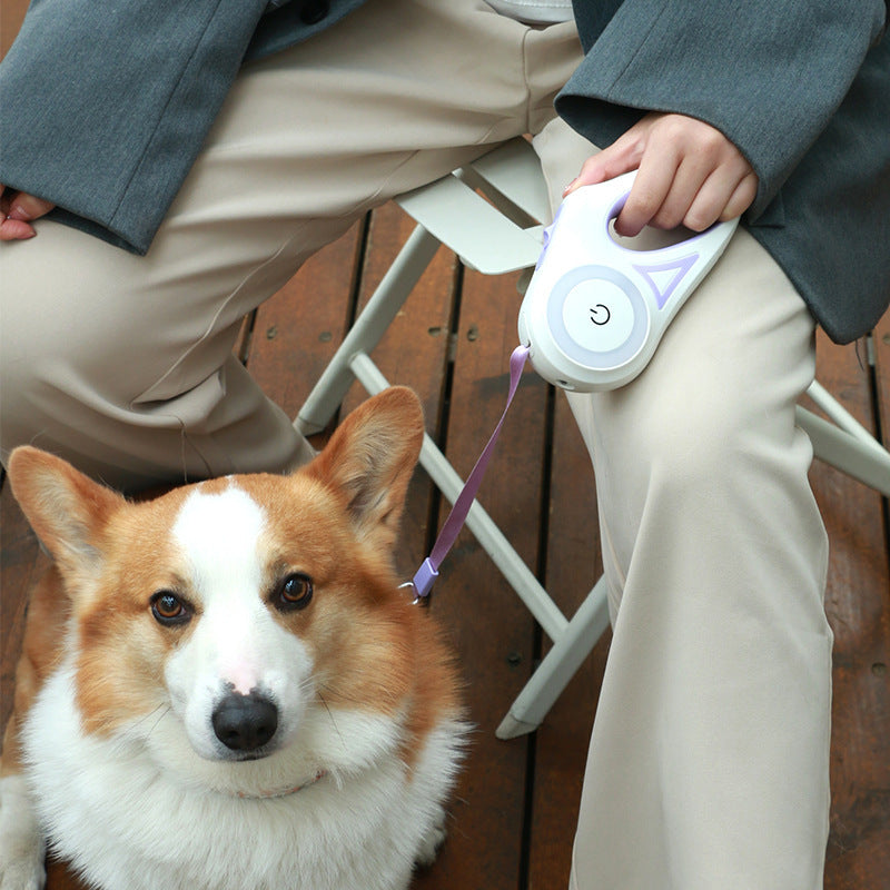 Orange Poppy retractable dog leash with collar in lavender held by seated owner with corgi on wooden deck